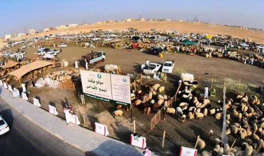 000-9763901741443361942643