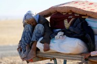 A Kurdish Syrian refugee woman sits on a carriage after crossing the Turkish-Syrian border near Suruc in Sanliurfa province