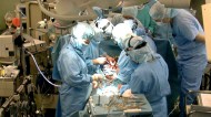 MEDECINE-GREFFES-DON-ORGANES