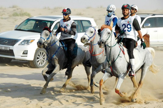 Endurance Race