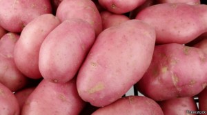 140217022828_kentang_desiree_potato_512x288_thinkstock_nocredit