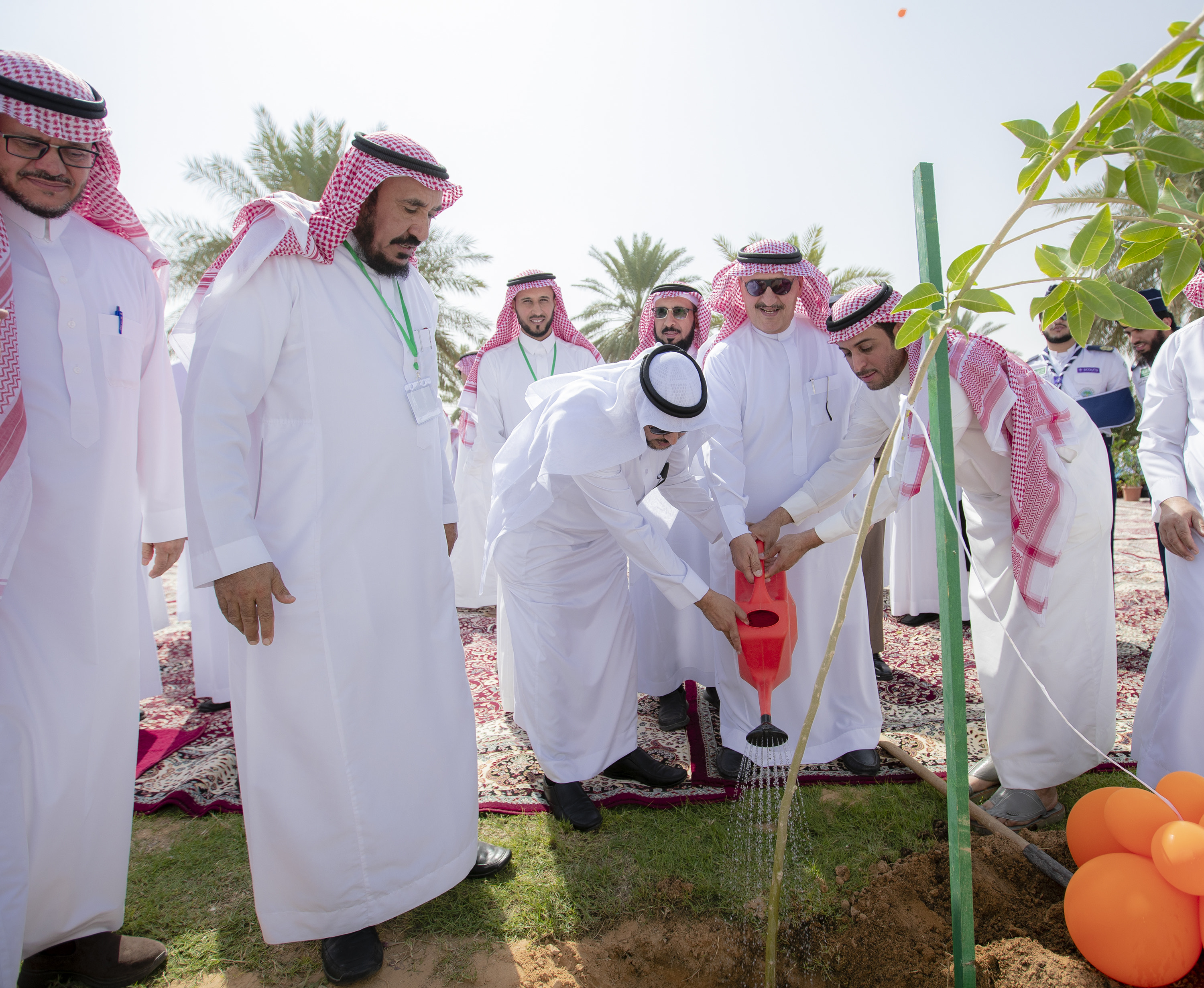 القصيم للمفارش ارض اراضي النقيب