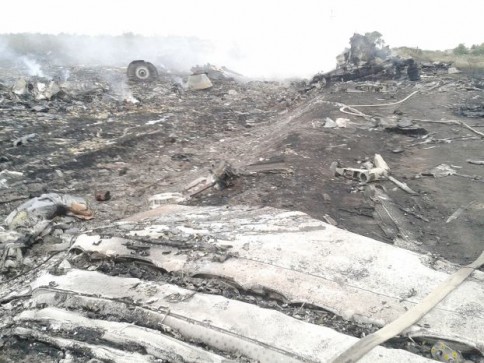 A general view shows the site of a Malaysia Airlines Boeing 777 plane crash in the settlement of Grabovo in the Donetsk region