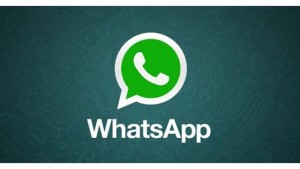 869656558