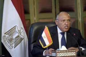 مصر تقول إنها لم تجد تعاونا كافيا من الدول في مواجهة الإرهاب