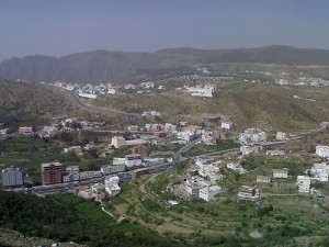Albaha