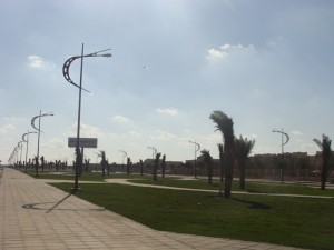 DSC08872