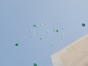 DSCN4149