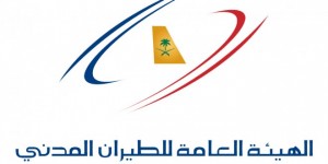 ELSAHEFA-45145-2