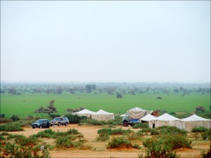 Hafar_Al-Batin_in_Winter_002