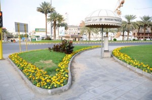 Newagriculturalprojectsinmakkah