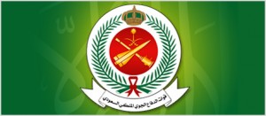 RSADF_logo
