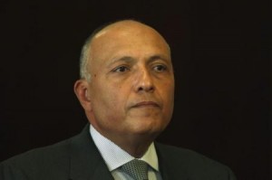 مصر ستطلب من حلفائها دعما أمنيا إضافيا بعد هجومي سيناء