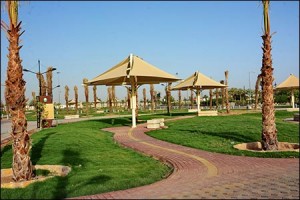 garden_priyadh2