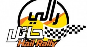 hail-rally-2014-560x308