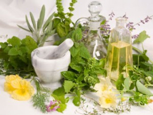herbs_C