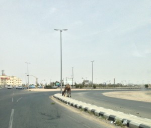 image (4)