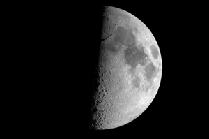 moon9816