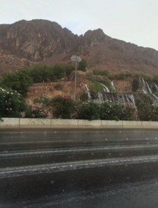 الصورة من "تويتر"