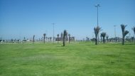 thumbnail_dsc_0077