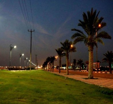 thumbnail_صورة7