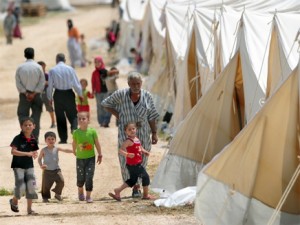turkey_11420_1473