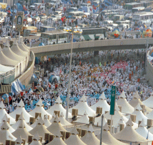 yom-8-tarweya