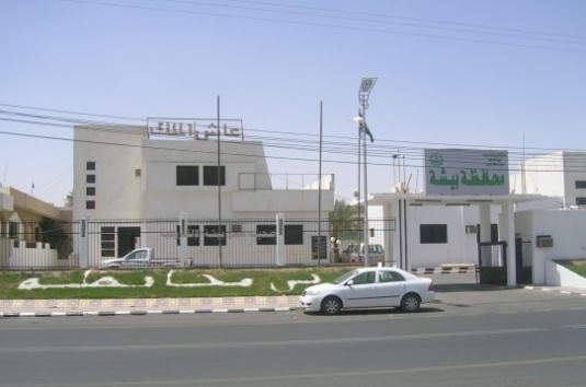 بيشة