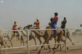 تنزيل (11)