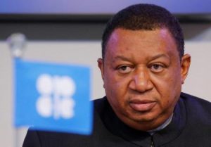 محمد باركندو أمين عام أوبك يتحدث في فيينا يوم الاثنين. تصوير: هاينز بيتر بادر - رويترز.