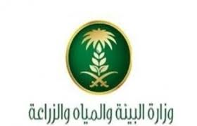 تنزيل (14)