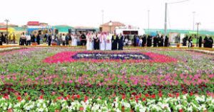 تنزيل (15)