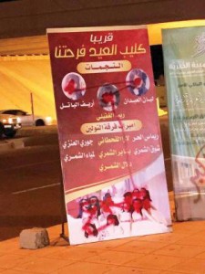 حائل