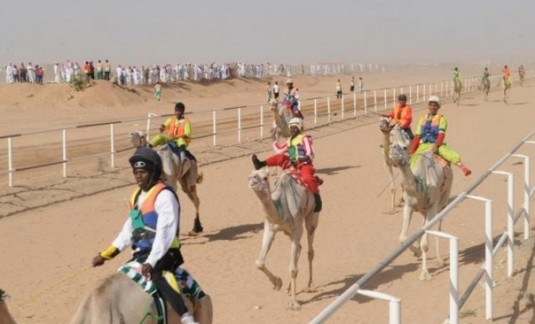 سباقات الهجن للمصيف بالطائف