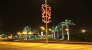 صورة2