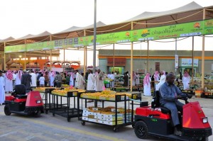 مهرجان تمور